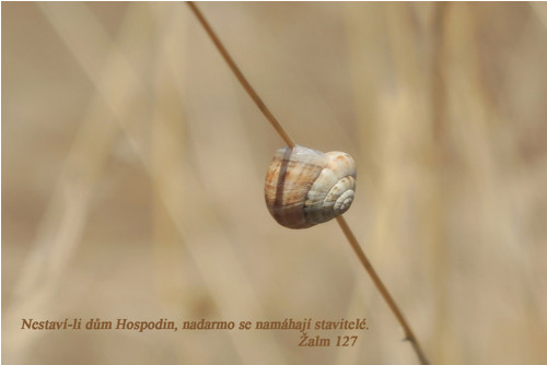 Přáníčko otextované, citát biblický — foto 1