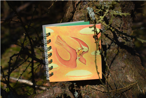 Notes střední Poletíme