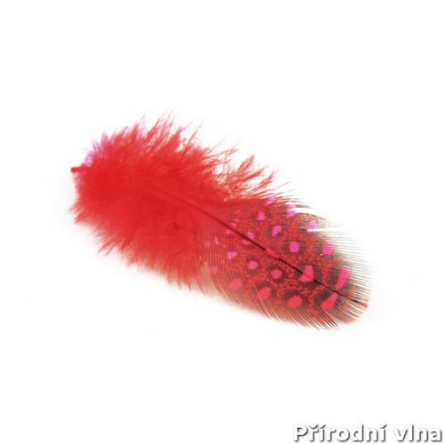 Peří perlička 6-8 cm 24 ks barva červená