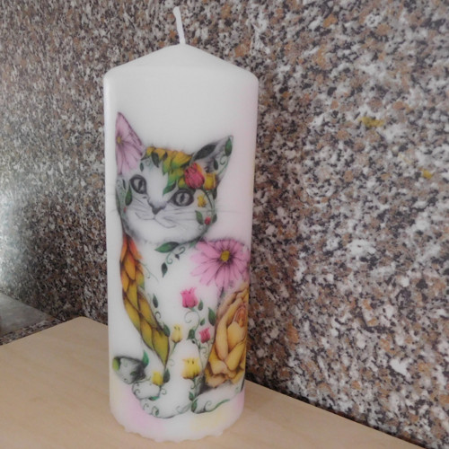 Kočka extravagantní