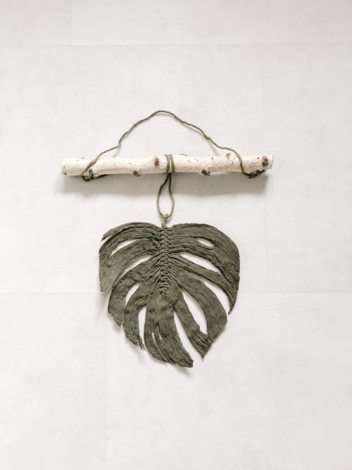 Monstera list