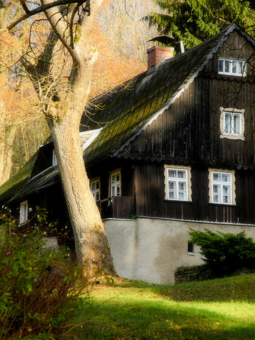 Pod horama, Orličky — foto 1