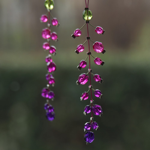 Fuchsijové dlouhé — foto 1
