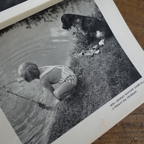 Fotografický obzor ... časopis 4/1938