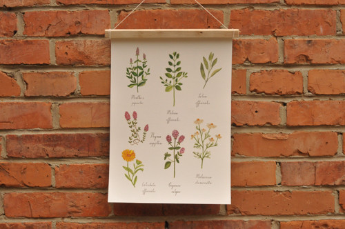 Print A3 - Bylinky