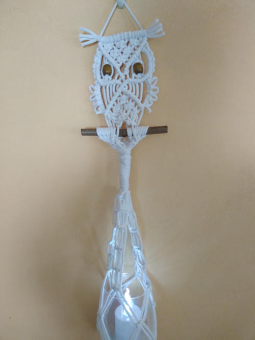 Svícen moudra sova — foto 1