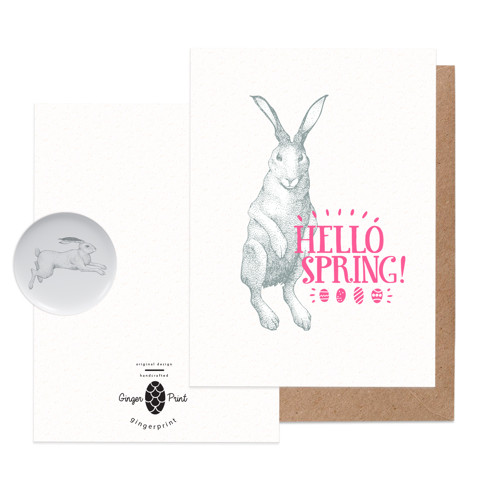 Přání Aesthetic Rabbit Hello Spring — foto 1