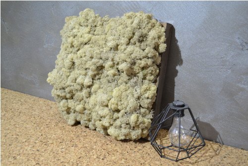 Obraz "White moss" — foto 1