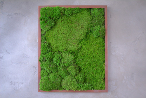 Mechový obraz "Garden"