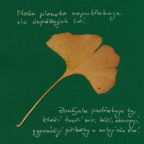 Planeta — foto 1
