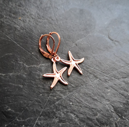 Ocelové náušnice*mořské hvězdice*rosegold