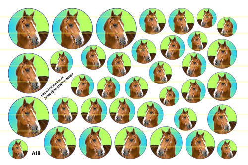 A18 - koně (12, 14, 15, 16, 18, 20, 25mm)
