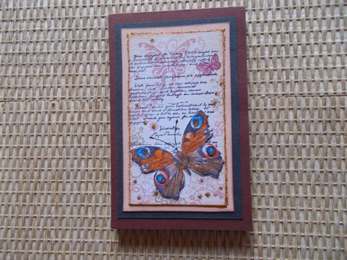 Bloček -motýl — foto 1