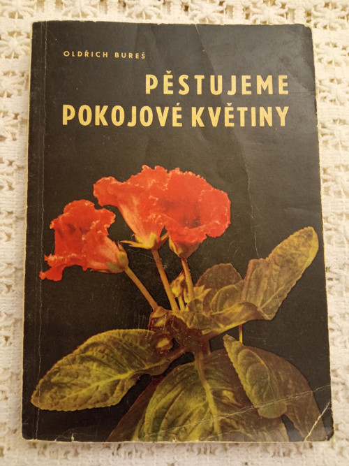 Pěstujeme pokojové květiny - Oldřich Bureš