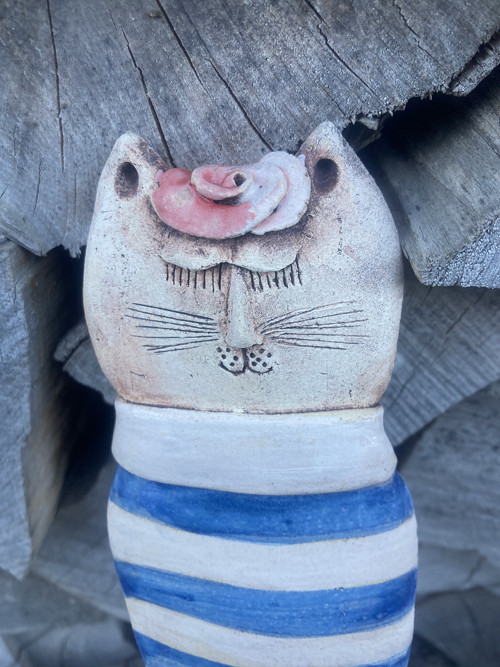 Pruhovaná kočka-zápich — foto 1