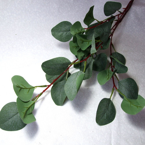 Eukalyptus s textilními listy — foto 1