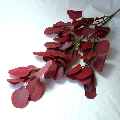 Eukalyptus s textilními listy - bordó — foto 1