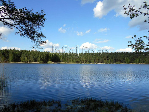 Rybník