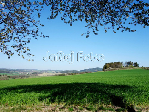 Jaro