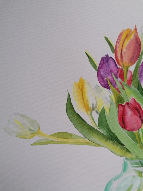Tulipánky 2