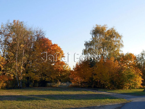 Podzim — foto 1