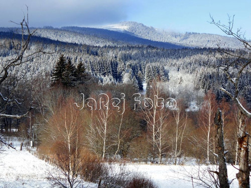 Zimní Šumava — foto 1