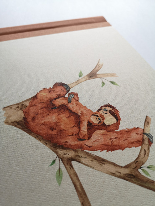 Panda - fotoalbum — foto 1