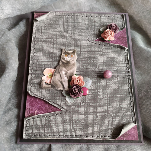 Blahopřání "Gray Cat" — foto 1