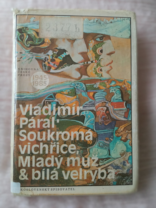 Soukromá vichřice, Mladý muž a bílá velryba