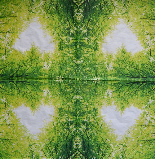 Nature love 3354