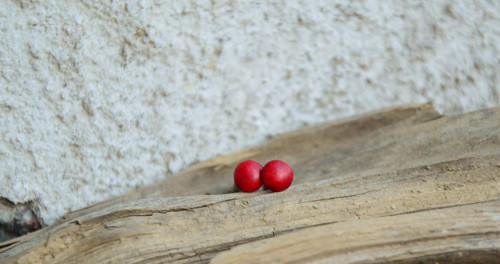 Dřevěné náušnice - je soui rouge — foto 1