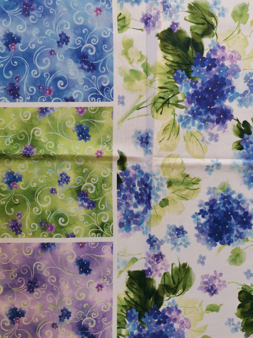 Sada Hydrangea Blossoms — foto 1