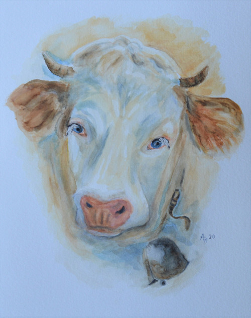 Originál, akvarel - mladá kravka - 28 x 21 cm