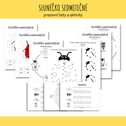 Slunéčko sedmitečné - pracovní listy PDF