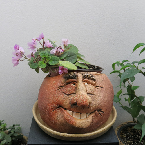 KVĚTNÍK-VALOUN..... — foto 1