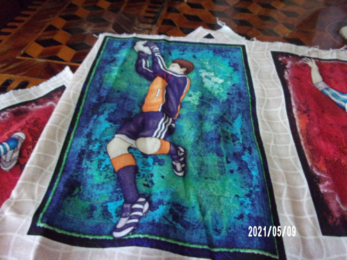 Panel látky