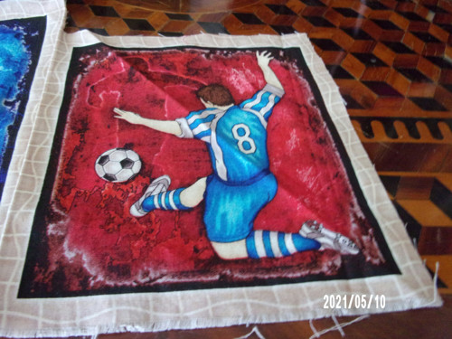 Panel látky
