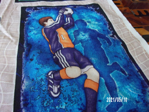 Panel látky