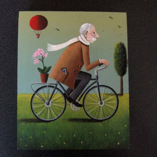 Orchidej — foto 1