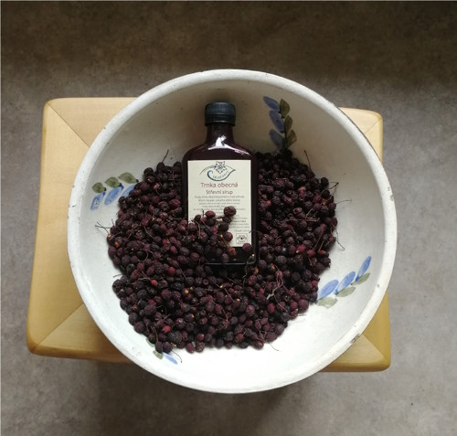 Trnka obecná střevní sirup