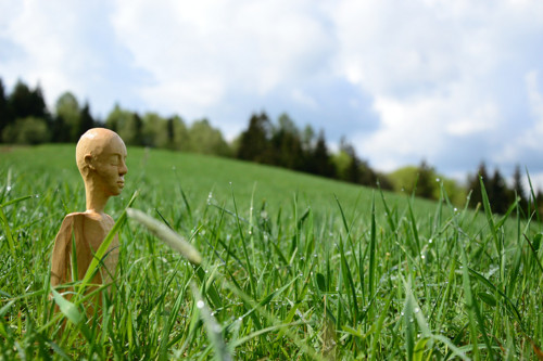 Vnitřní svět — foto 1