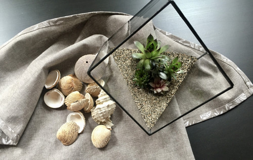 Florárium — foto 1