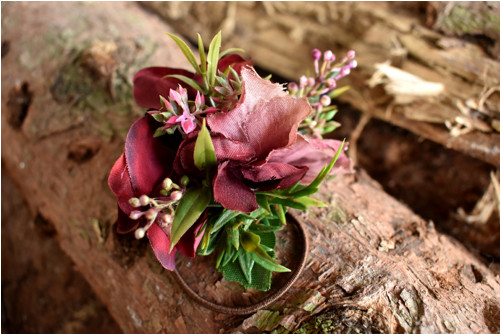 Vínový podzim — foto 1