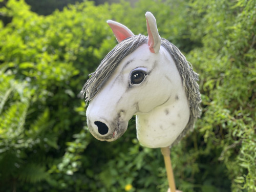 Pro milovnice HOBBY HORSE — foto 1