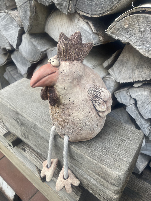 Slepice — foto 1