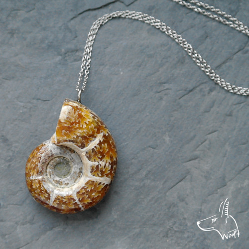 Lazhvard (lapis lazuli) — foto 1