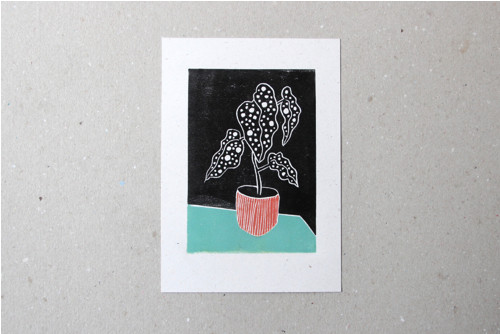 Tisk /// Begonia #3 — foto 1