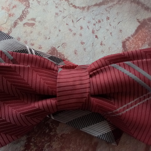 Motýlek pro každý den — foto 1