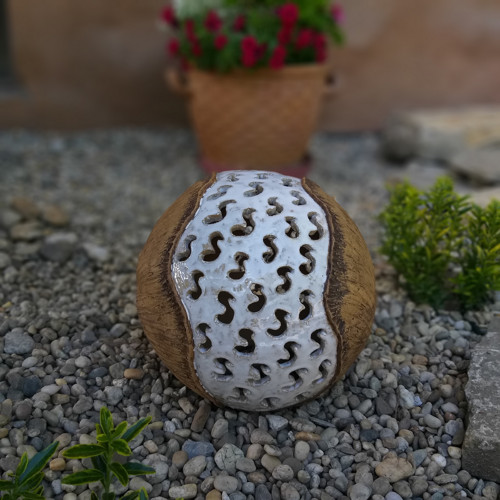 Koule esíčková — foto 1