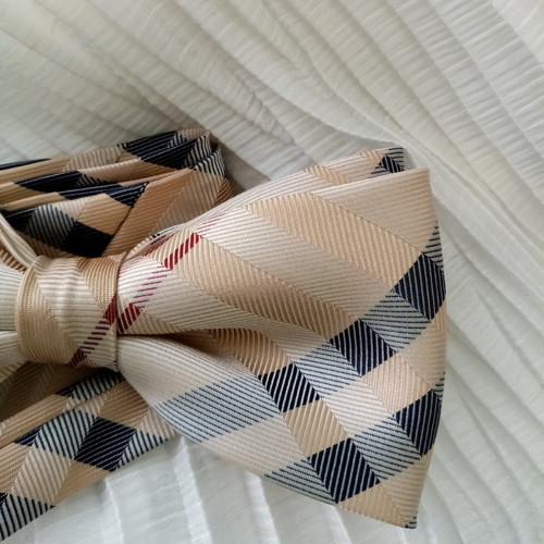 Motýlek pro každý den — foto 1